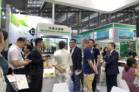 云顶集团(中国区)官方网站